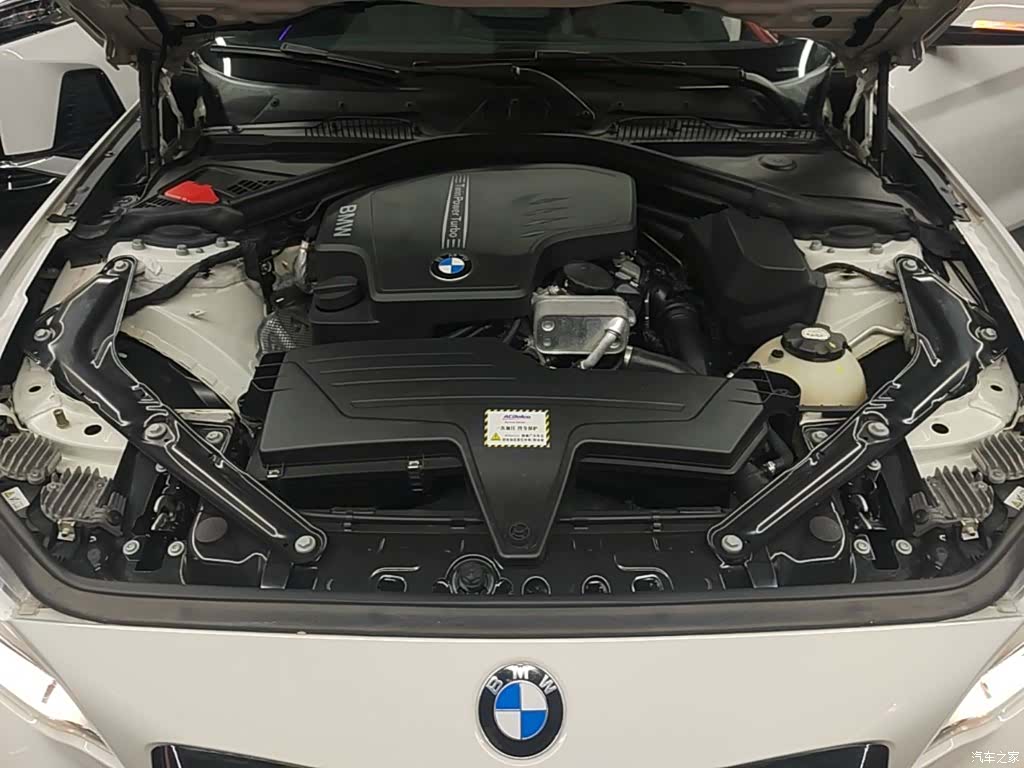 BMW 2 Series, 2016 20