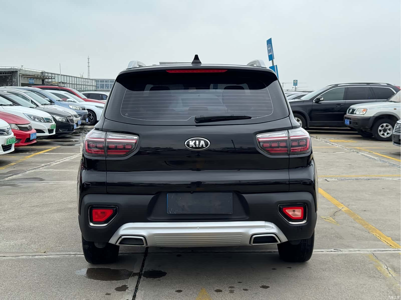 Kia Sportage, 2019 все фото