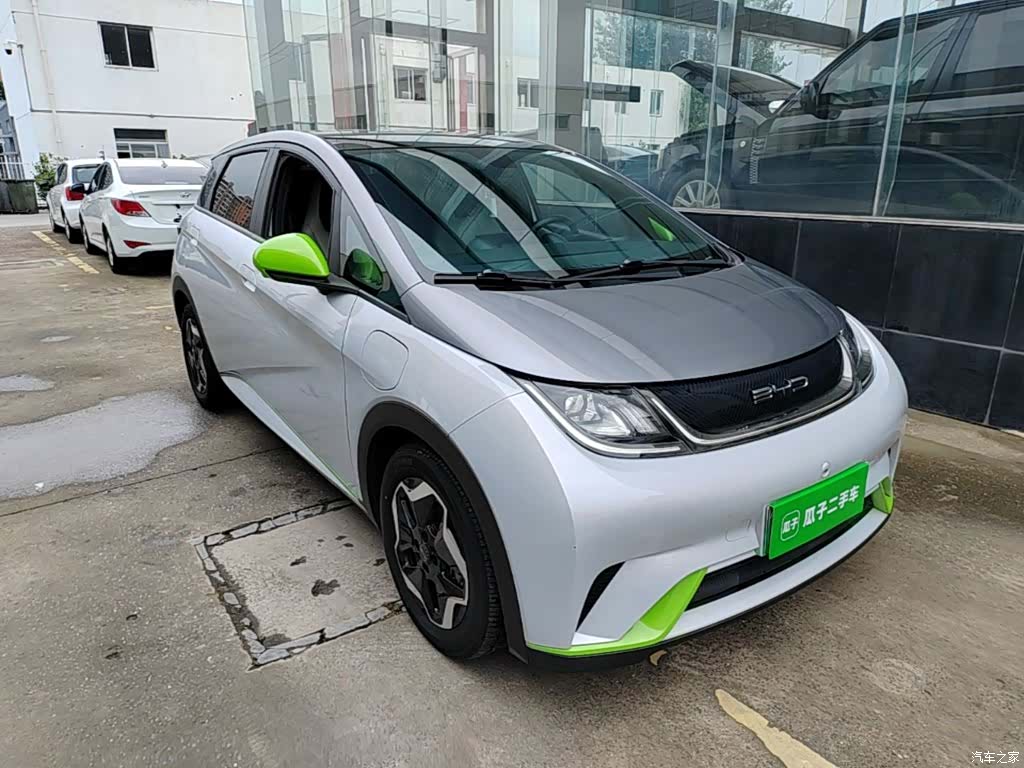 BYD Dolphin, 2022 4