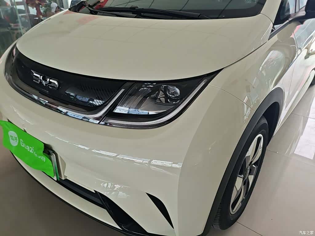 BYD Dolphin, 2026 24