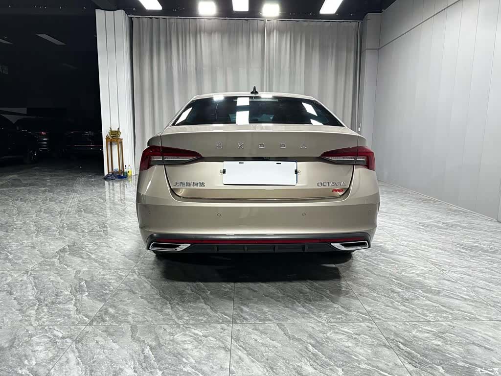 Skoda Octavia, 2023 все фото