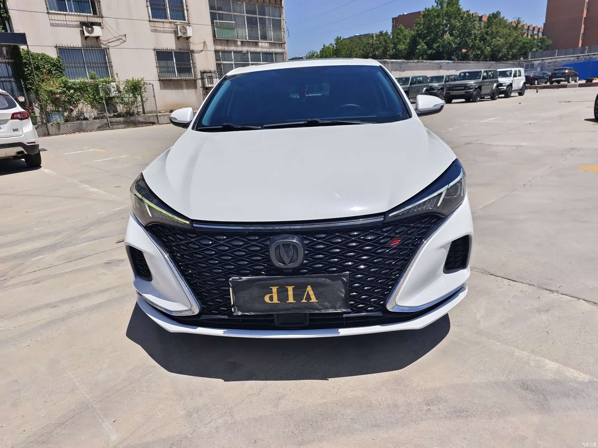 Changan Eado, 2020 все фото