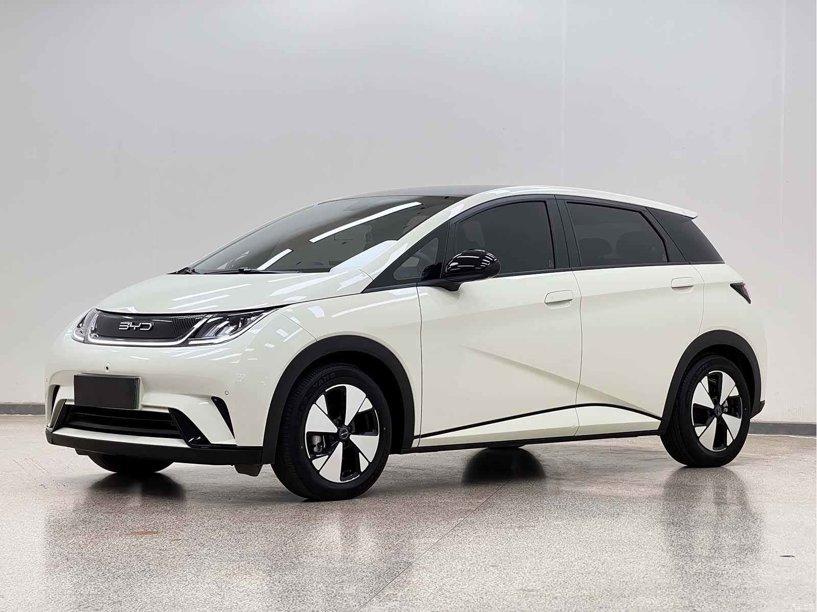 BYD Dolphin, 2023 1