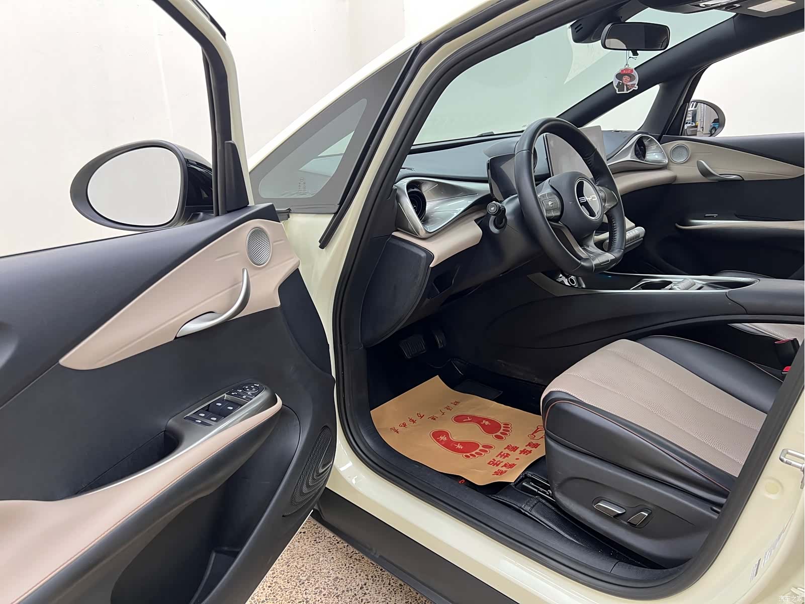 BYD Dolphin, 2023 13