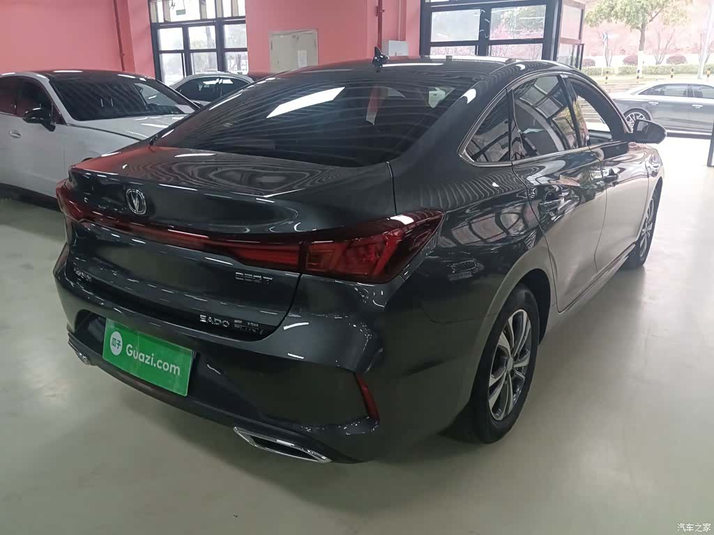 Changan Eado, 2023 все фото