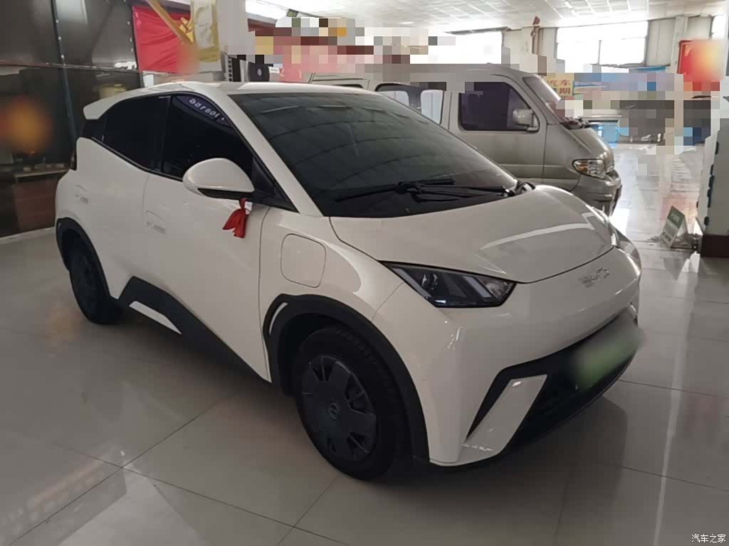 BYD Seagull, 2024 4