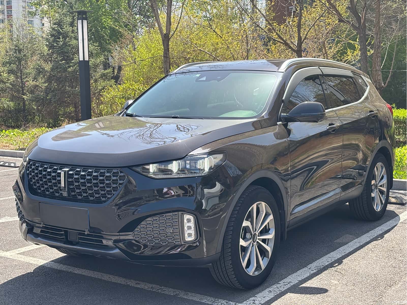 WEY VV6, 2020 1