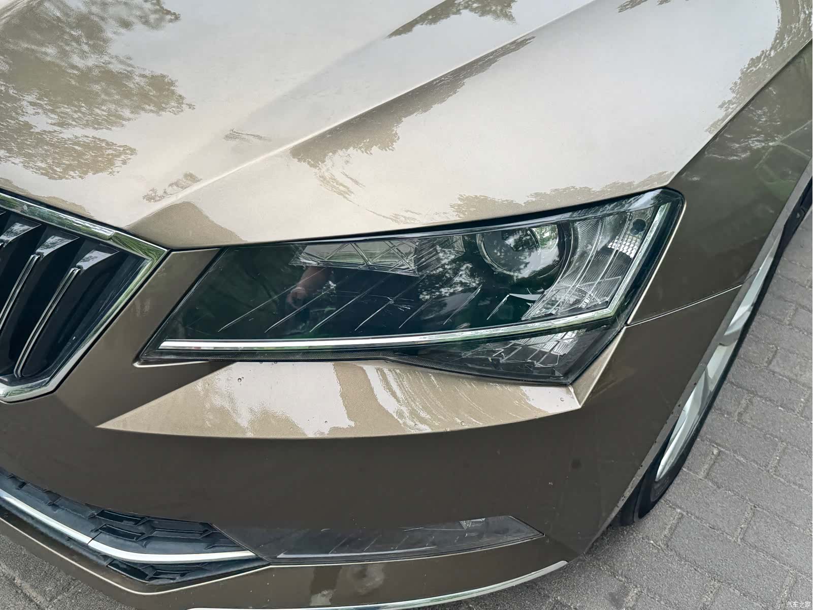 Skoda Superb, 2017 4