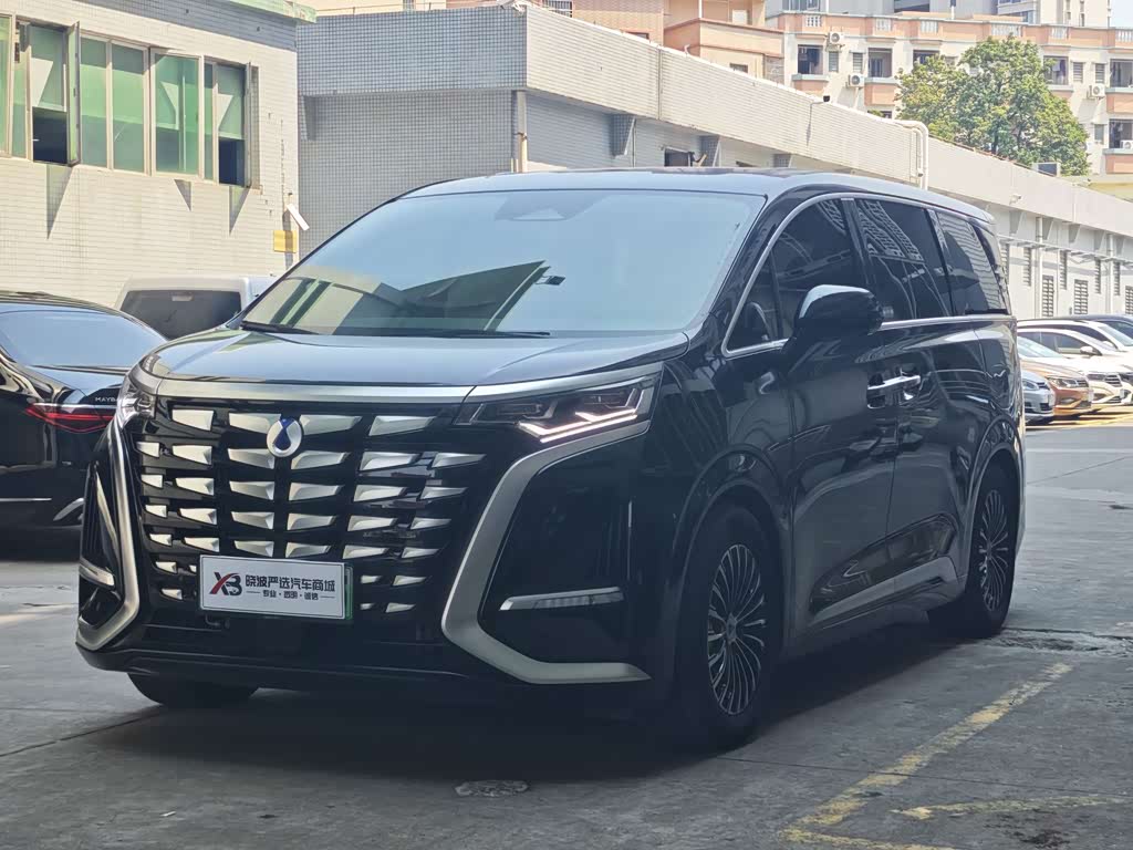 Denza D9