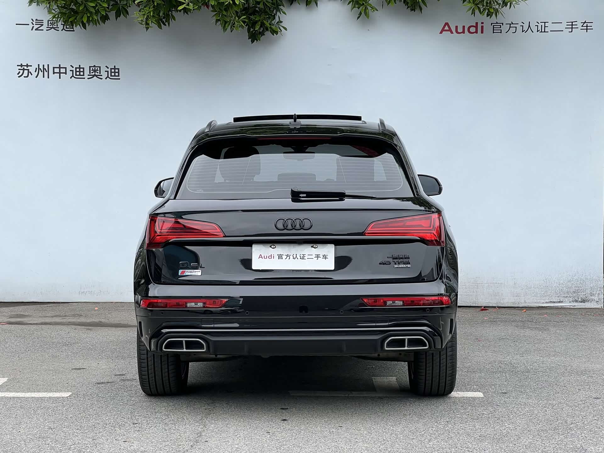 Audi Q5L, 2024 все фото