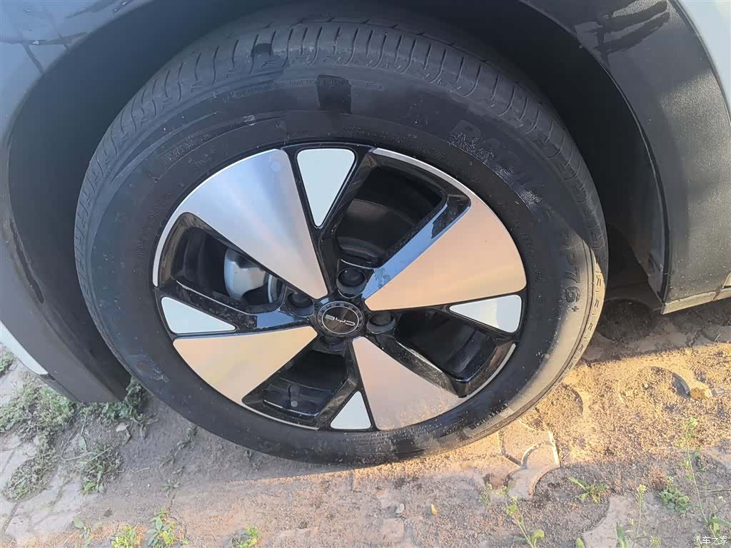 BYD Dolphin, 2023 23