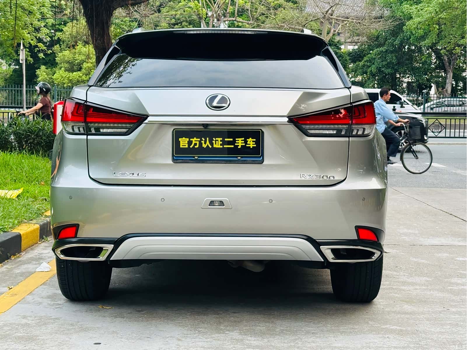 Lexus RX, 2022 4