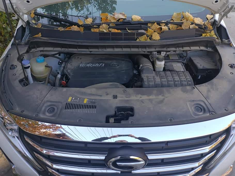 Trumpchi Trumpchi M8