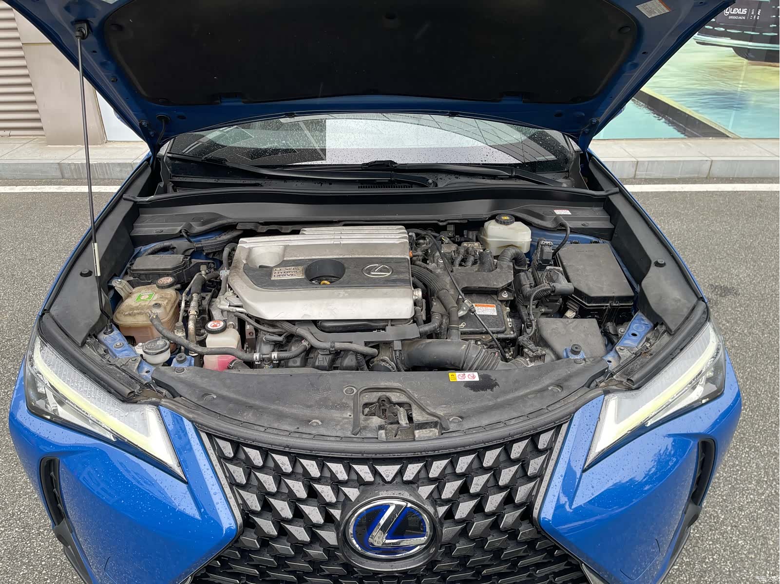 Lexus UX, 2019 14