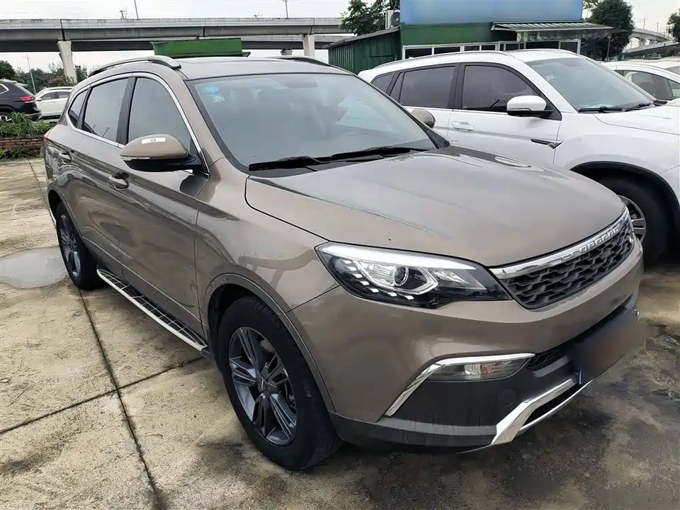 Leopaard Cheetah CS10