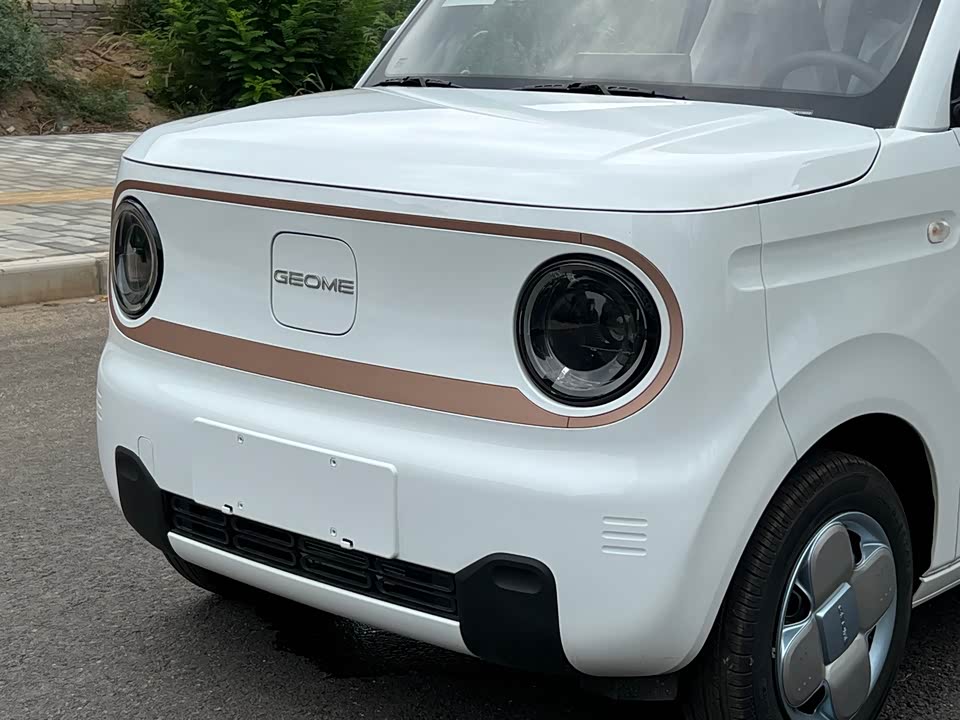 Geely Galaxy panda Geely Galaxy panda