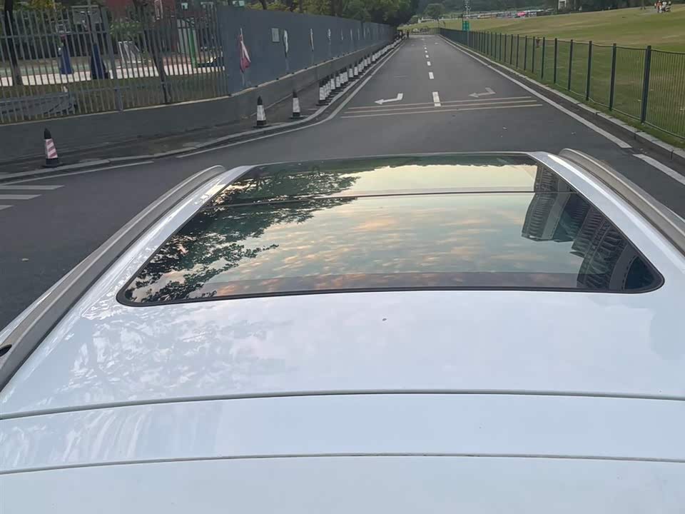 Leopaard Cheetah CS9