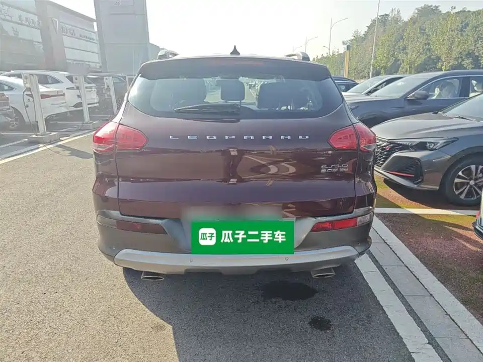 Leopaard Cheetah CS10