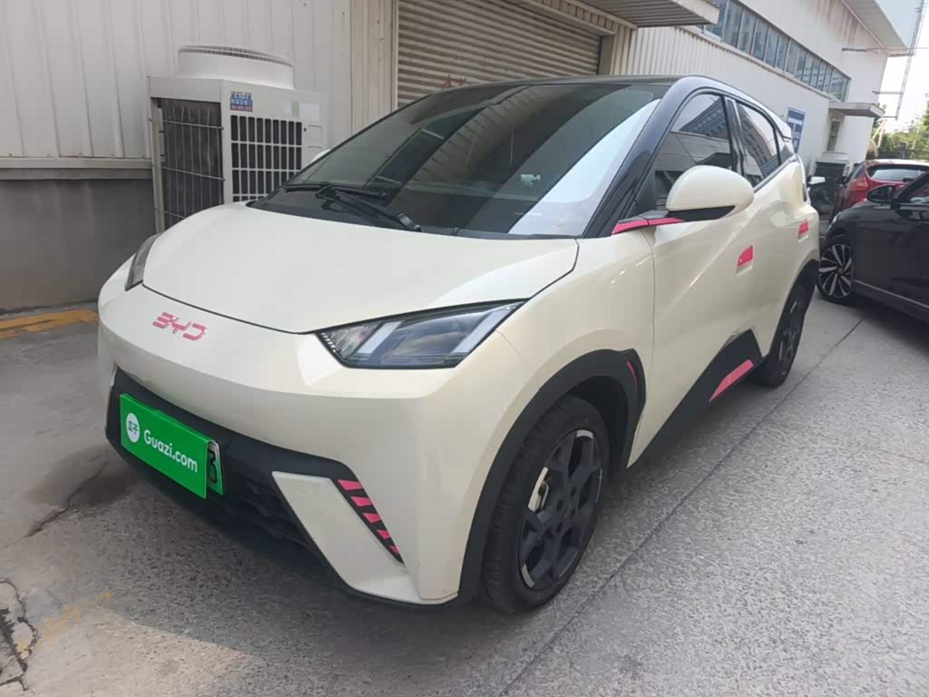 BYD Seagull
